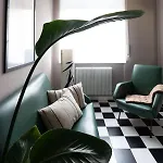 Jungle Schio